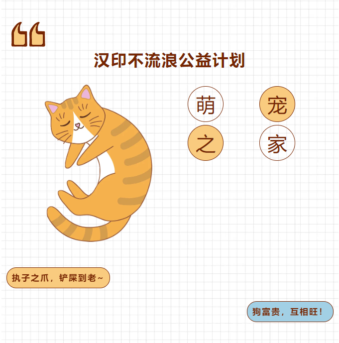 BBIN宝盈集团不流浪公益计划.png
