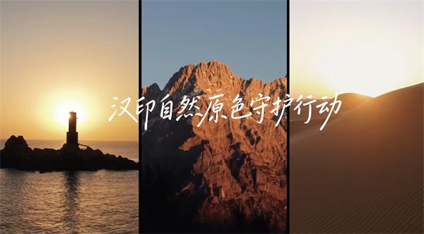 BBIN宝盈集团三原色守护行动